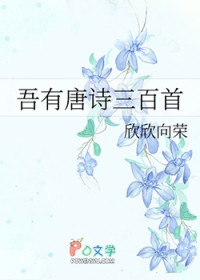 ������ʫ������